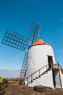 Yel değirmeni kaktüs Bahçe Guatiza köyünde, Lanzarote, Kanarya Adaları popüler cazibe