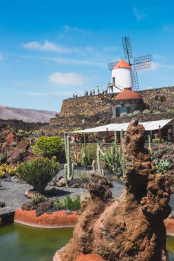 Lanzarote - 29 Şubat 2017: Kaktüs Bahçe Guatiza, Lanzarote, Kanarya Adaları popüler cazibe içinde beyaz yel değirmeni ile görünümünü