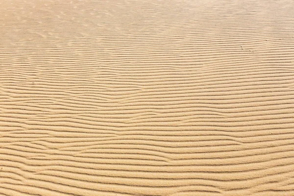 Lines in the sand of a beach, close up — Stock Photo, Image