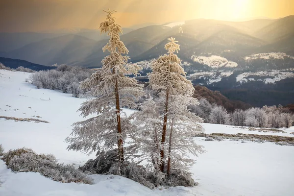 Dağlarda kış peyzaj akşam majestic — Stok fotoğraf