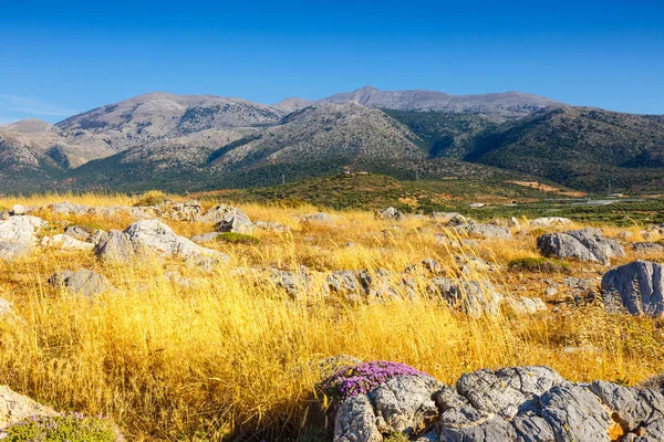 Majestuosa vista del paisaje cretense al atardecer, Malia, Creta — Foto de Stock