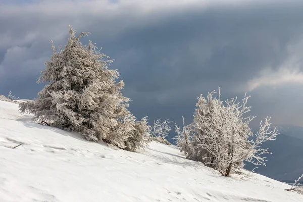 Este a hegyekben a téli táj fenséges — Stock Fotó