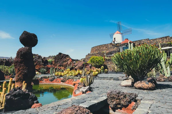 Moinho de vento no jardim de cacto tropical na aldeia de Guatiza, atração popular em Lanzarote, ilhas Canárias — Fotografia de Stock