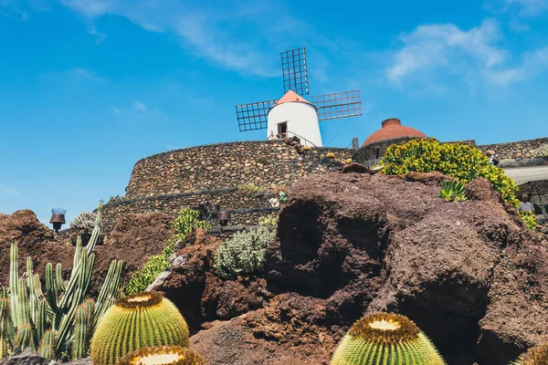 Molino de viento en jardín de cactus tropicales en el pueblo de Guatiza, popular a —  Fotos de Stock