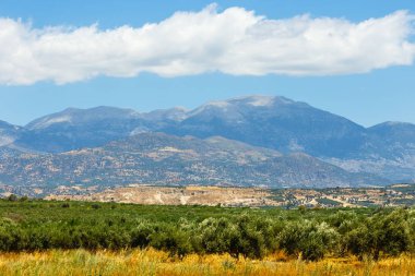 Güzel dağ manzarası ile zeytin ekimi, Girit Adası, Yunanistan