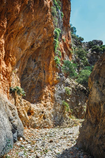 Kritsa Gorge yakınındaki Agios Nikolaos Crete, Yunanistan