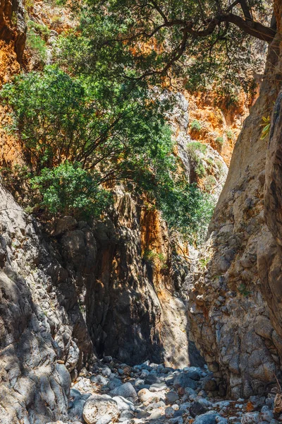 Φαράγγι της Κριτσάς, κοντά στον Άγιο Νικόλαο στην Κρήτη, Ελλάδα — Φωτογραφία Αρχείου