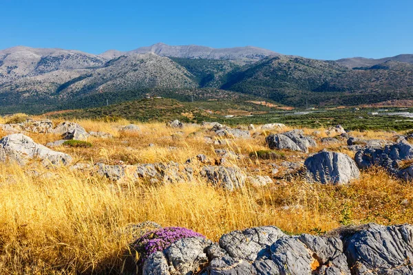 Storslagen utsikt över kretensiska landskapet vid solnedgången, Malia, Kreta — Stockfoto