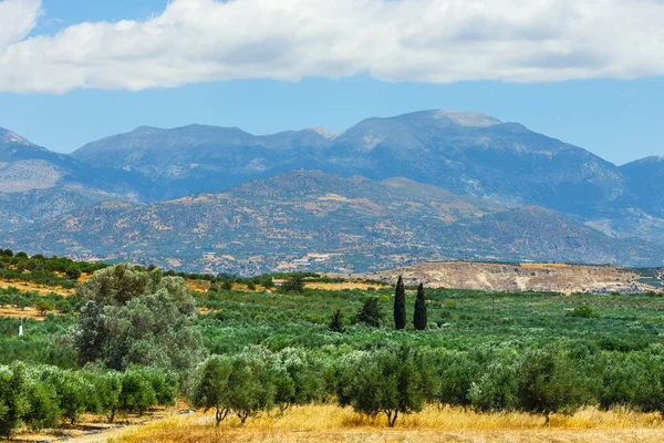 Güzel dağ manzarası ile zeytin ekimi, Girit Adası, Yunanistan — Stok fotoğraf