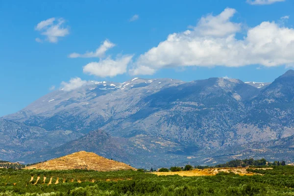 Güzel dağ manzarası ile zeytin ekimi, Girit Adası, Yunanistan — Stok fotoğraf