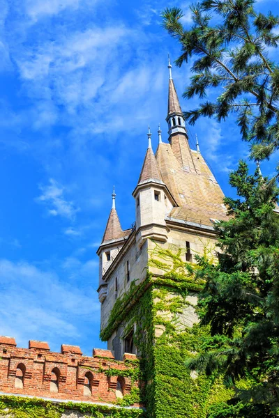 Castelo de Vajdahunyad em Budapeste, Hungria — Fotografia de Stock