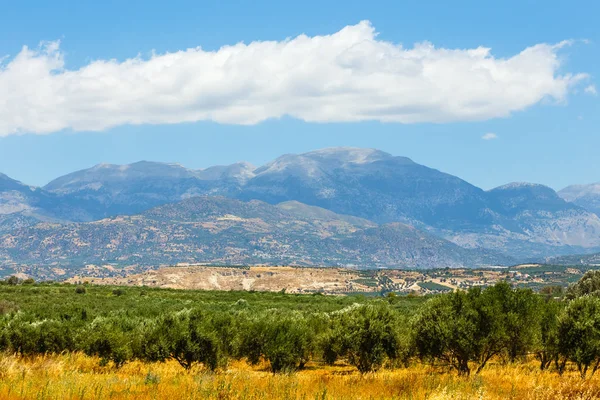 Όμορφο ορεινό τοπίο, με απέραντους ελαιώνες, Κρήτη, Ελλάδα — Φωτογραφία Αρχείου