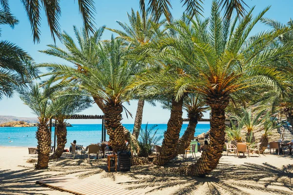 Célèbre plage de Vai avec une belle forêt de palmiers à l'est de la Crète, Grèce — Photo