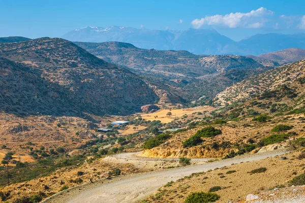 Campos de olivos en la isla de Creta en Grecia, paisaje cretense — Foto de Stock