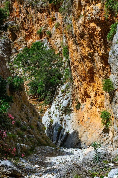 Garganta de Kritsa cerca de Agios Nikolaos en Creta, Grecia — Foto de Stock