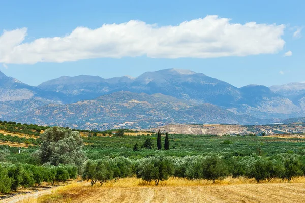 Bellissimo paesaggio montano con oliveto, isola di Creta, Grecia — Foto Stock