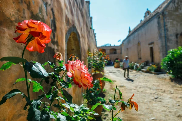 Güzel güller tencerede, Arkadi manastır adasında Crete, Yunanistan — Stok fotoğraf