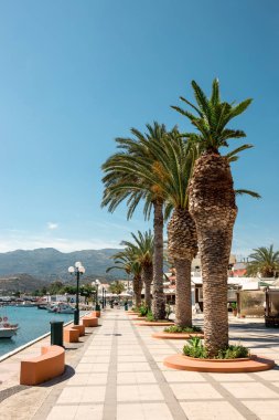 Sitia, Girit, Yunanistan - 11 Haziran 2017: Pictursque bağlantı noktası, Sitia, Girit, Yunanistan. Sitia Doğu Girit palmiye ağaçları, Vai beach yanında, geleneksel bir şehirdir