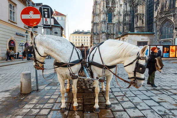 VIENNA, AUSTRIA - 13 ottobre 2016: Carrozza a cavallo al palazzo Hofburg di Vienna, Austria — Foto Stock
