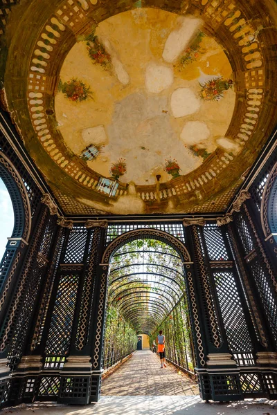 Viena, Austria, 14 de octubre de 2016: Pasarela romántica del jardín que forma un túnel verde de acacias en residencia de verano ubicada en Viena, Austria —  Fotos de Stock
