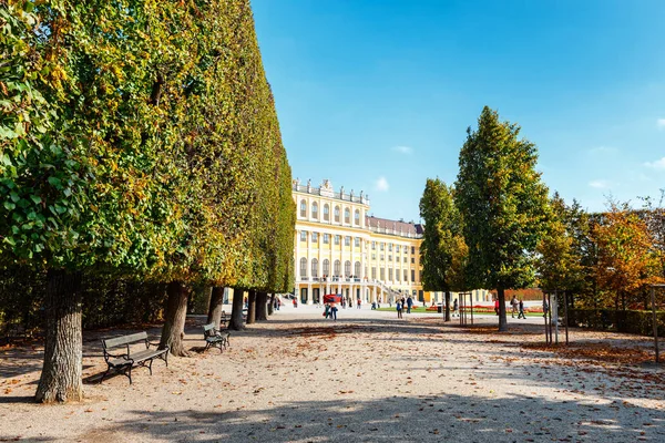 Viena, Austria, 14 de octubre de 2016: Pasarela romántica del jardín que forma un túnel verde de acacias en residencia de verano ubicada en Viena, Austria —  Fotos de Stock