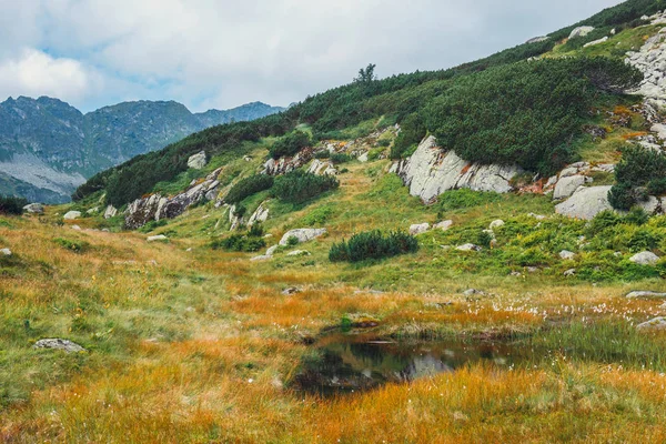 波兰高 Tatra 山脉五湖流域鸟瞰图 — 图库照片