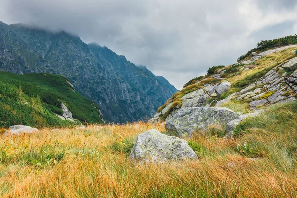 波兰高 Tatra 山脉五湖流域鸟瞰图 — 图库照片