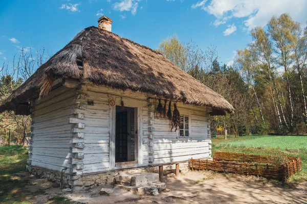 Starý bílý roubené chalupy s doškovou střechou — Stock fotografie