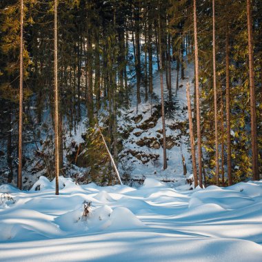Kış dağ nehir orman, Tatra Dağları, Polonya