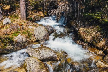 Güzel şelale ormandaki Tatras dağlar, Polonya