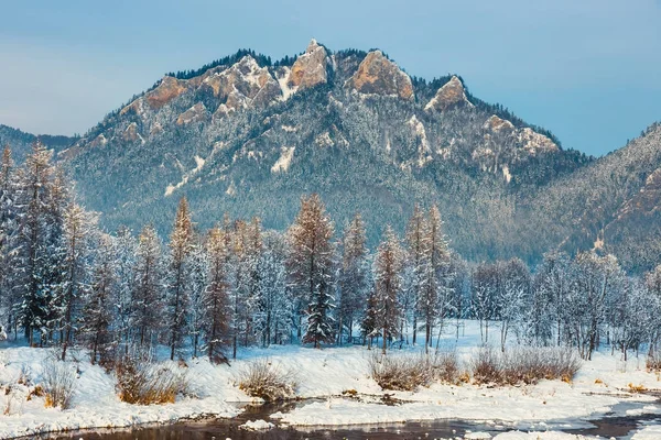 Winterlandschap in Pieniny bergen, drie kronen, Polen — Stockfoto