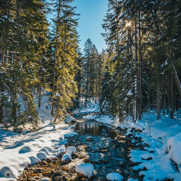 Rivière de montagne d'hiver dans la forêt, montagnes Tatra, Pologne — Photo