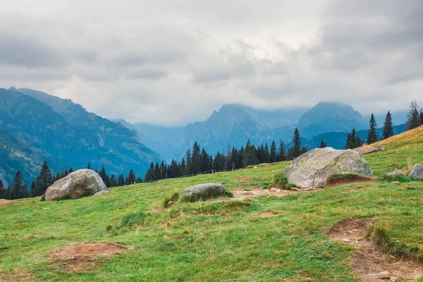 Rusinowa Glade, vacker plats i polska Tatrabergen, Polen — Stockfoto