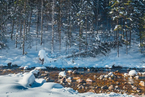 Inverno montanha rio na floresta, montanhas Tatra, Polônia — Fotografia de Stock