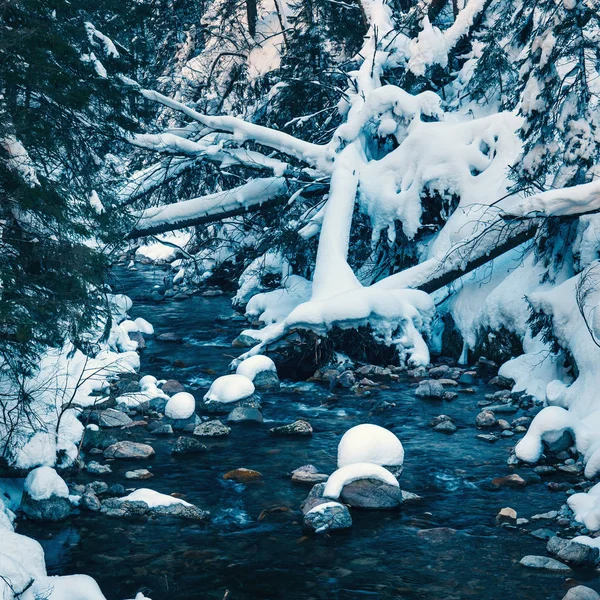 Invierno montaña río en el bosque, montañas Tatra, Polonia —  Fotos de Stock