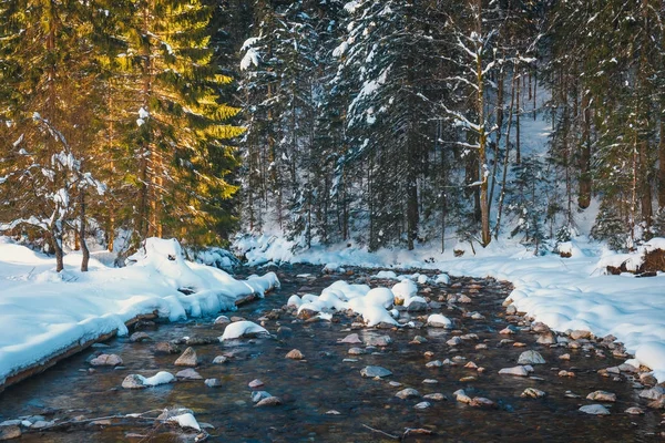 Zimní horská řeka v lese, Tater, Polsko — Stock fotografie