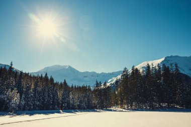 Tatra Dağları, Koscieliska Vadisi kışın