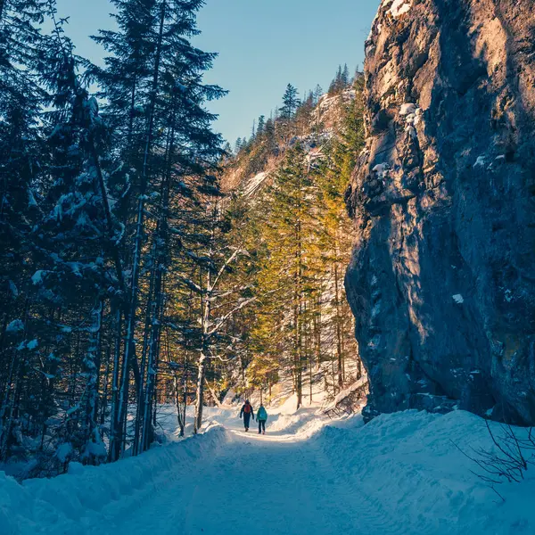 Invierno en las montañas Tatra, Valle de Koscieliska — Foto de Stock