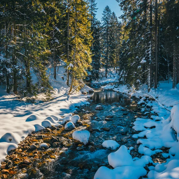 Rivière de montagne d'hiver dans la forêt, montagnes Tatra, Pologne — Photo