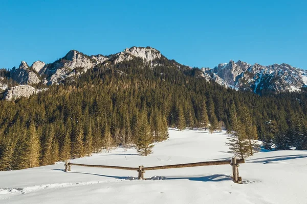 Inverno sui monti Tatra, Valle Koscieliska — Foto Stock