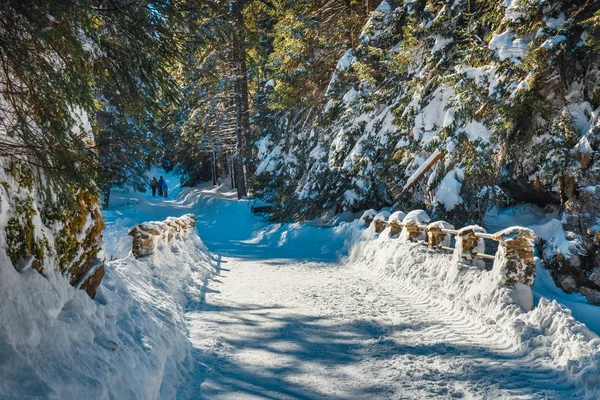 Inverno nas Montanhas Tatra, Vale de Koscieliska — Fotografia de Stock