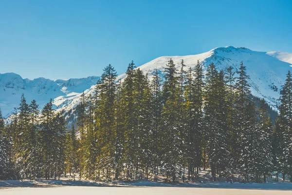 Zima w Tatrach, w dolinie Kościeliskiej — Zdjęcie stockowe