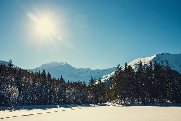 Tatra 산, Koscieliska 골짜기에 있는 겨울 — 스톡 사진