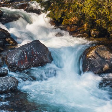 Güzel şelale ormandaki Tatras dağlar, Polonya