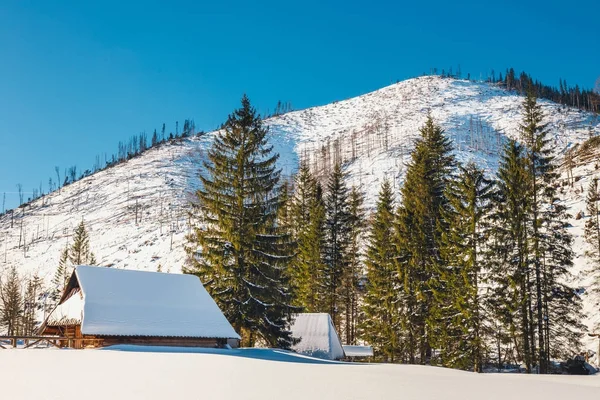 Invierno en las montañas Tatra, Valle de Koscieliska — Foto de Stock