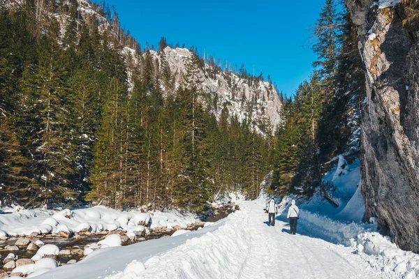 Invierno montaña río en el bosque, montañas Tatra, Polonia — Foto de Stock