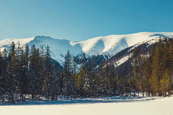 Tatra 山脉的冬天, Koscieliska 山谷 — 图库照片