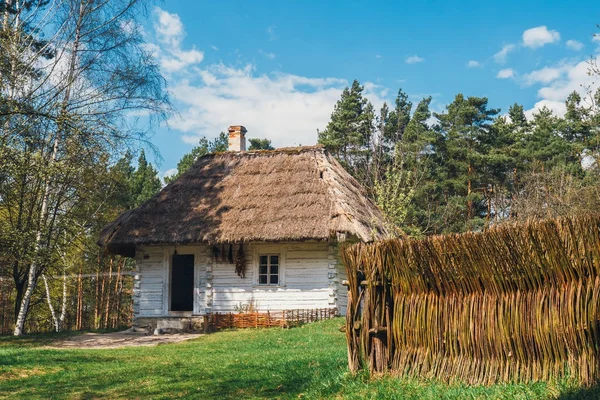 Vecchia casa di tronchi bianchi con tetto di paglia — Foto Stock