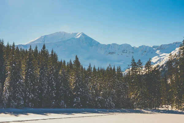 Tatra 山脉的冬天, Koscieliska 山谷 — 图库照片