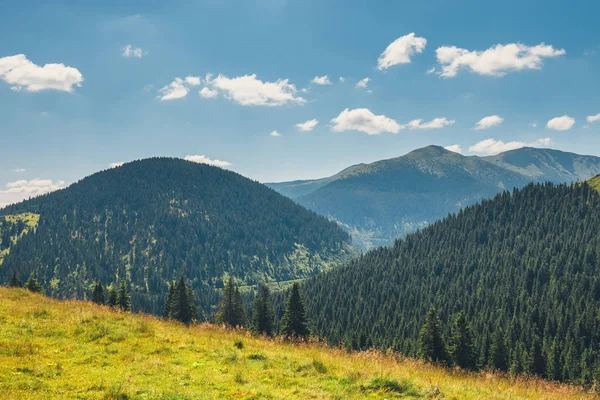 Lato piękne krajobrazy z góry Rodniańskie w Karpatach Wschodnich, Rumunia — Zdjęcie stockowe